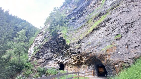 Fotografija s spletne strani Regina Fleischmann na poti