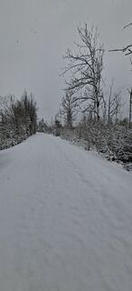 Foto de execute a lo largo del recorrido