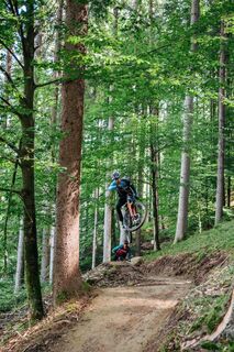 Trail Andy