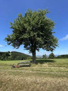 Fotó a Leo Fahrngruber honlapról a túra során