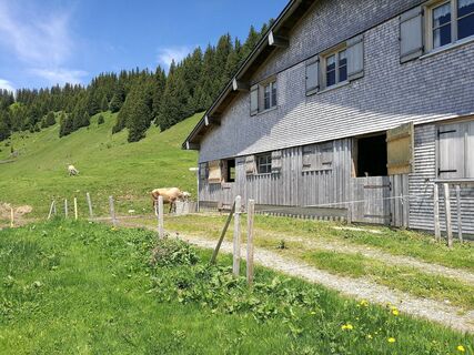 Bereuters Neualpe