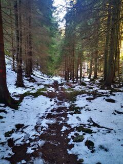 Фото с сайта 3d63 ru^^n3r во время экскурсии