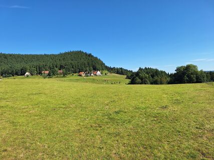 Foto de Katharina a lo largo del recorrido