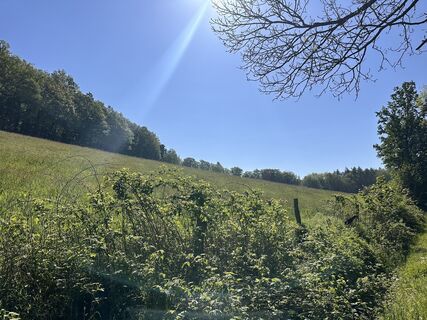 Fotografie z Norbert Herbig na trase