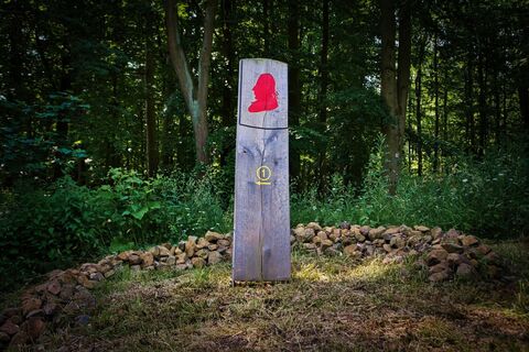 Rundweg im Waldpark Schloss Riede