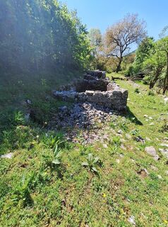 Fotografija s spletne strani Marta Umer na poti