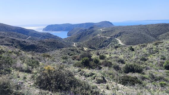 Fotografija s spletne strani CPQS na poti