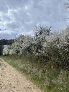 Foto von V P 2 entlang der Tour