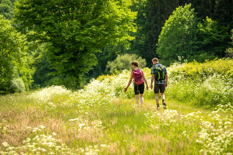 Nat'Our Route 1, Wandern durch blühende Wiesen