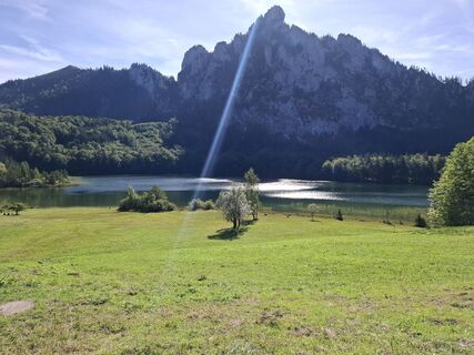 Foto de Seirphilipp a lo largo del recorrido
