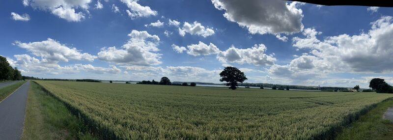 Fotografia z Harald Engel na trase