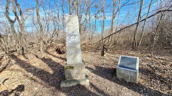 Fotografia z Regina Fleischmann na trase
