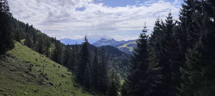 Foto von Iryna entlang der Tour