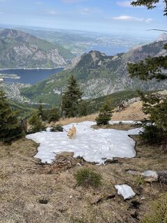 Zdjęcie z Karl Hohenwarter wzdłuż trasy