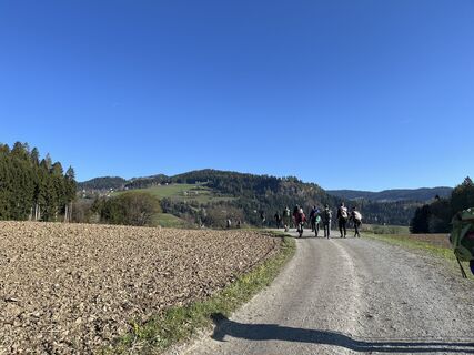 Fotografija s spletne strani Bernhard Koller na poti