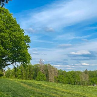 20220512_Jagdhornweg_Valbert (22).jpeg