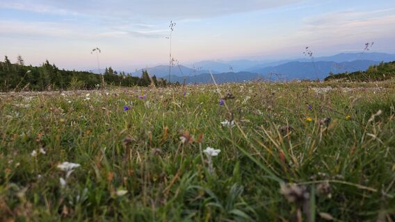 Foto fra Markus Krenn underveis på turen