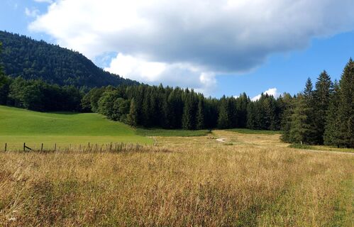 Foto von Regina Felber-Stossier entlang der Tour