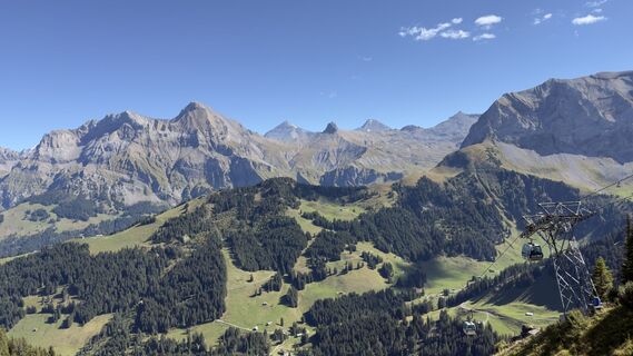 Fotografija s spletne strani Peter Burki na poti