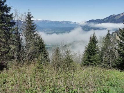 Foto von Waldläufer entlang der Tour