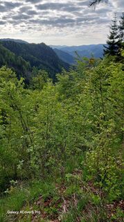 Foto von E.U. entlang der Tour