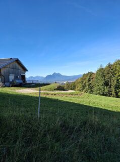Foto von Andrea Rudholzer entlang der Tour