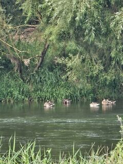 Photo de Angelika Gerung le long du parcours