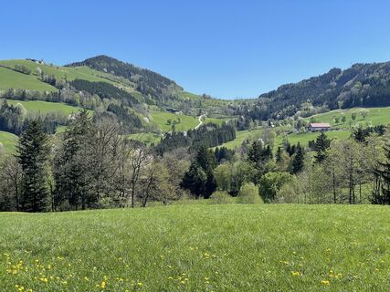 Foto från Martino68 under resans gång