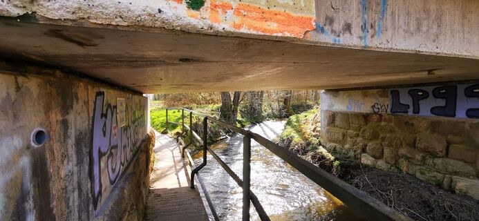 Foto de Klaus Lehner a lo largo del recorrido