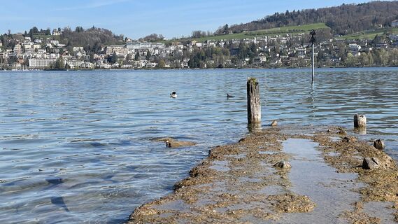 Fotografija s spletne strani Peter Burki na poti