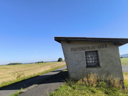 Fotografie z David Hincziza na trase