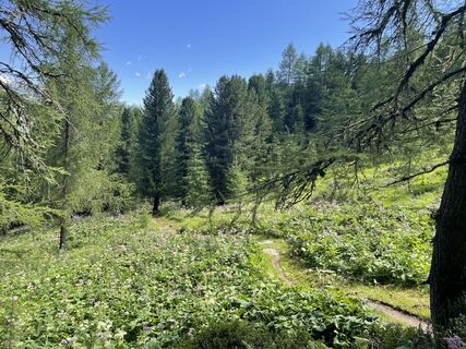 Foto von Ralf Umminger entlang der Tour