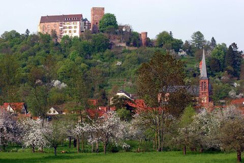 Die Gamburg im Frühling