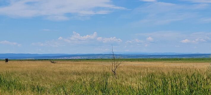 Foto de Nicky a lo largo del recorrido