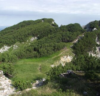 Inzell/Chiemgau: Mittelstaufen mit Blick zum Zwiesel