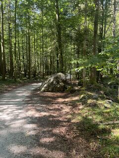 Photo de Alfred Weber le long du parcours