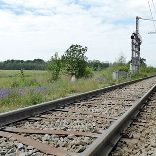 Auch der Bahndamm in Weitwörth zeigt sich bienenfreundlich von seiner aufblühenden Seite.