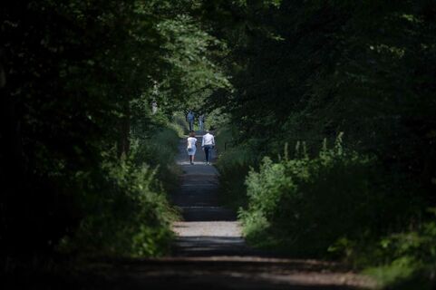 Schattige Wanderwege
