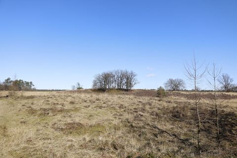 Photo de Remco Bartelds le long du parcours
