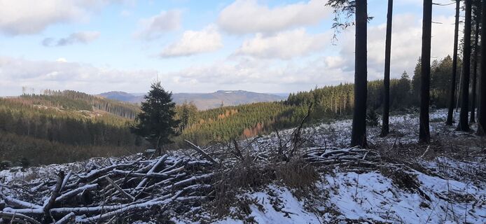 Fotografie de la Georg Meisterjahn de-a lungul turului