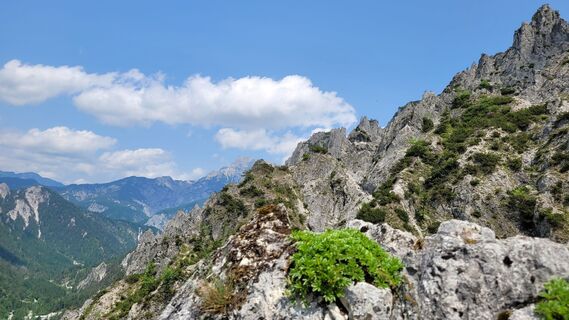 Foto von Juliane entlang der Tour