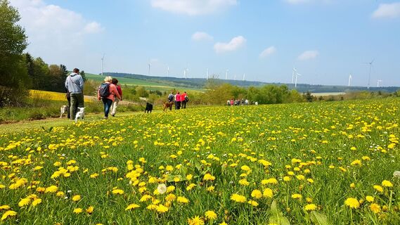 Traumschleifchen Baybachquellen