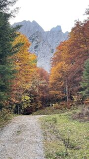 Fotografia z Beatrix Planka na trase