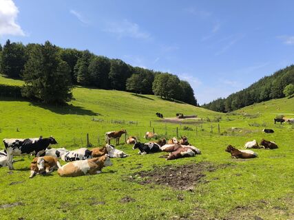 Foto von David Hincziza entlang der Tour