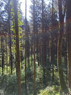 Fotografie de la Sandra Stemplinger de-a lungul turului