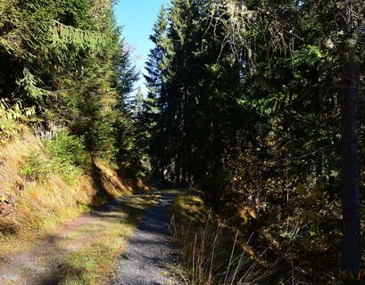Unterwegs auf dem Spazierweg