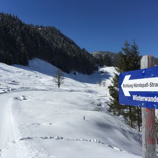 Straußberg