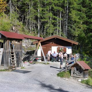 Neben dem Adlerhorst