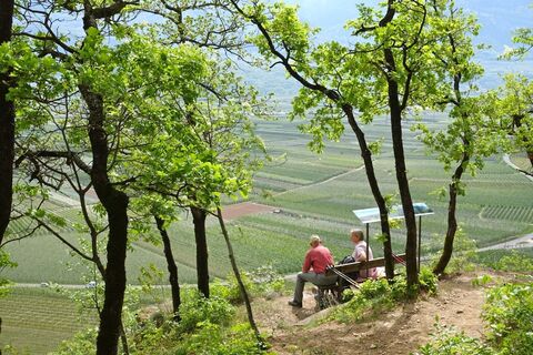Naturerlebnisweg Tramin