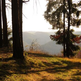 Hoch über dem Stausee